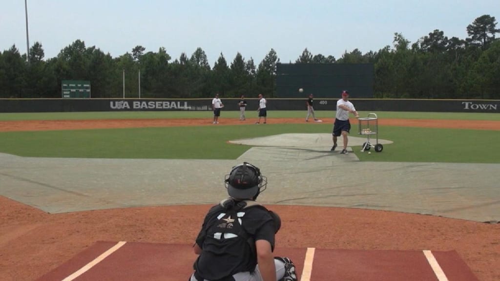 Nick Pratto and Hagen Danner, LLWS champs and best friends, were taken in  the MLB Draft