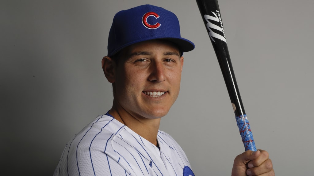 Anthony Rizzo Family Foundation donating meals