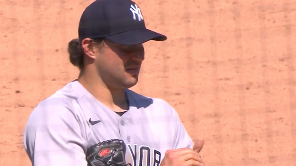 Yankees' Luke Voit Says Gerrit Cole Got Him 'Something Cool' For Jersey Swap