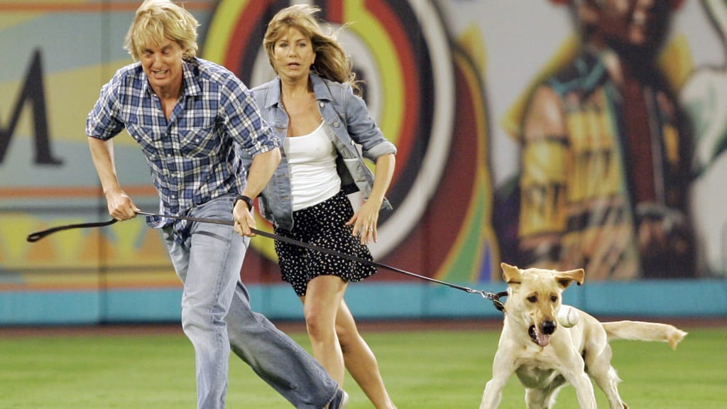 Marley & Me filmed at Marlins game