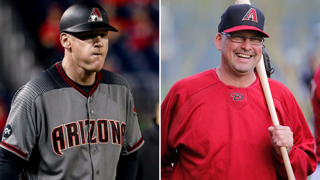 Matt Williams (left) and Mark Grace will not be part of new manager Torey Lovullo's coaching staff. (AP)
