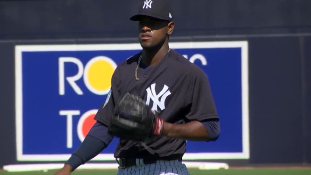 Yankees' Luis Severino, wife Rosmaly take part in underwater