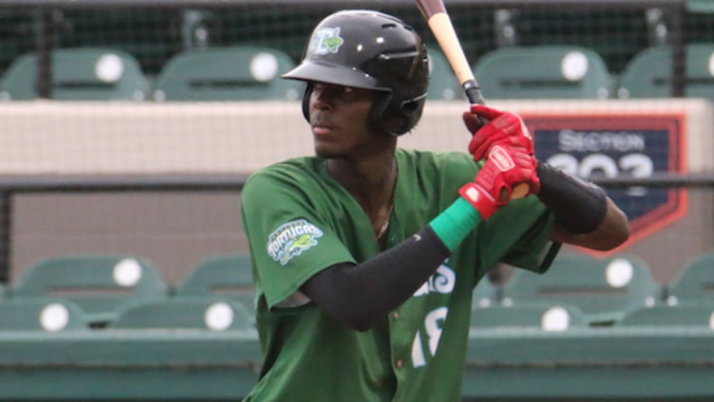 Reds prospect Elly De La Cruz still soaring