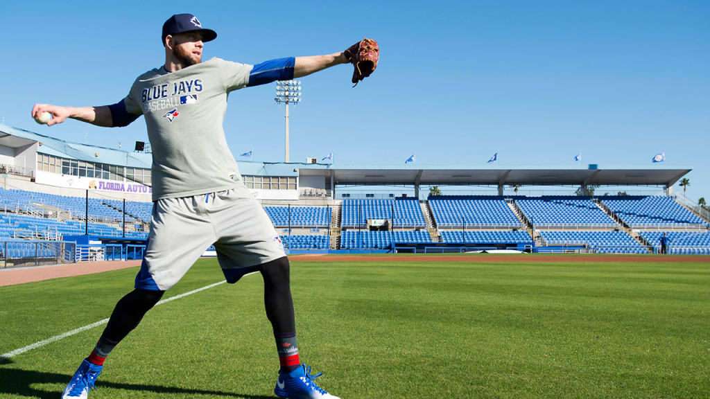 The Blue Jays hope to repeat as AL East champions this year. (AP)