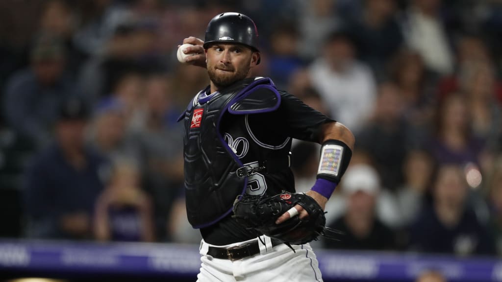 The Yankees signed veteran catchers for more than just depth