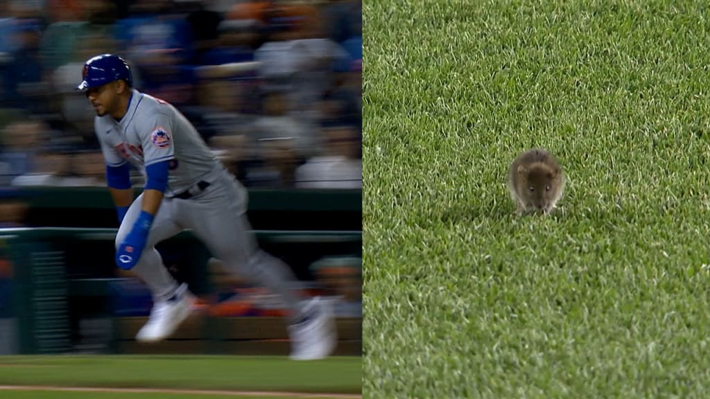 Mets beat Nationals 4-2 after rat scurries onto field at Nats Park