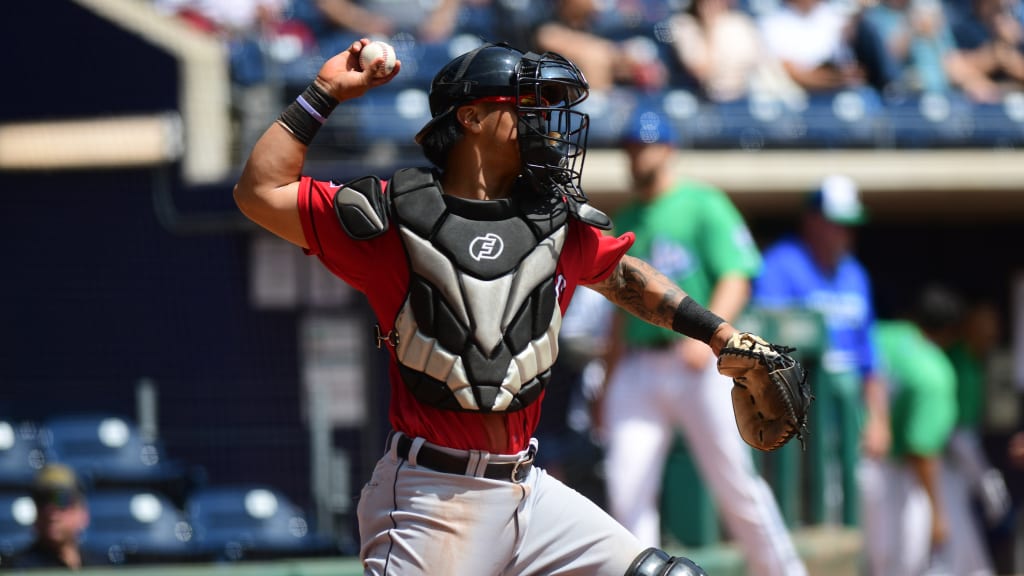 Chace Numata, catcher at Tigers' Erie affiliate, dies from