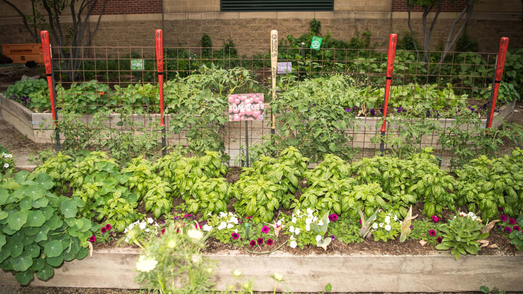 THE COORS FIELD GARDEN | Colorado Rockies