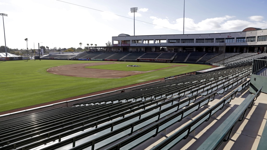 See photos from Wednesday's Phillies spring training workout