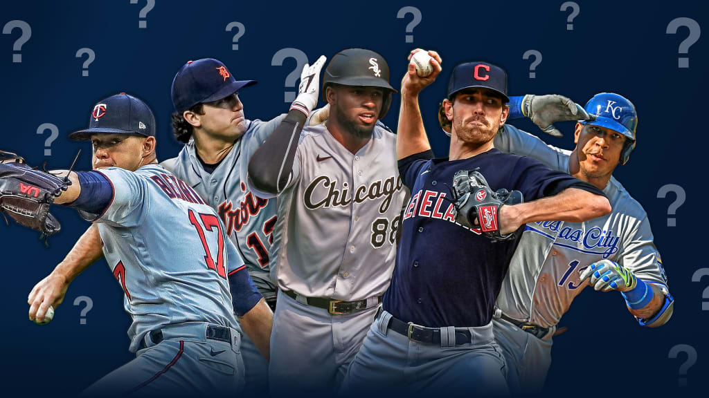 AL Central questions for 2021