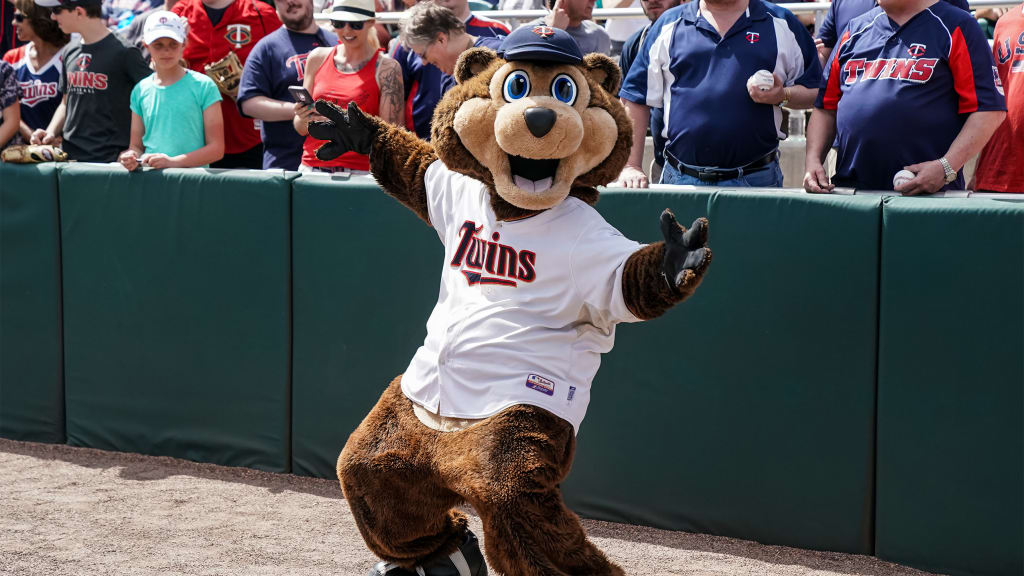 So you want to be T.C. Bear? The Minnesota Twins advertising for a new  mascot