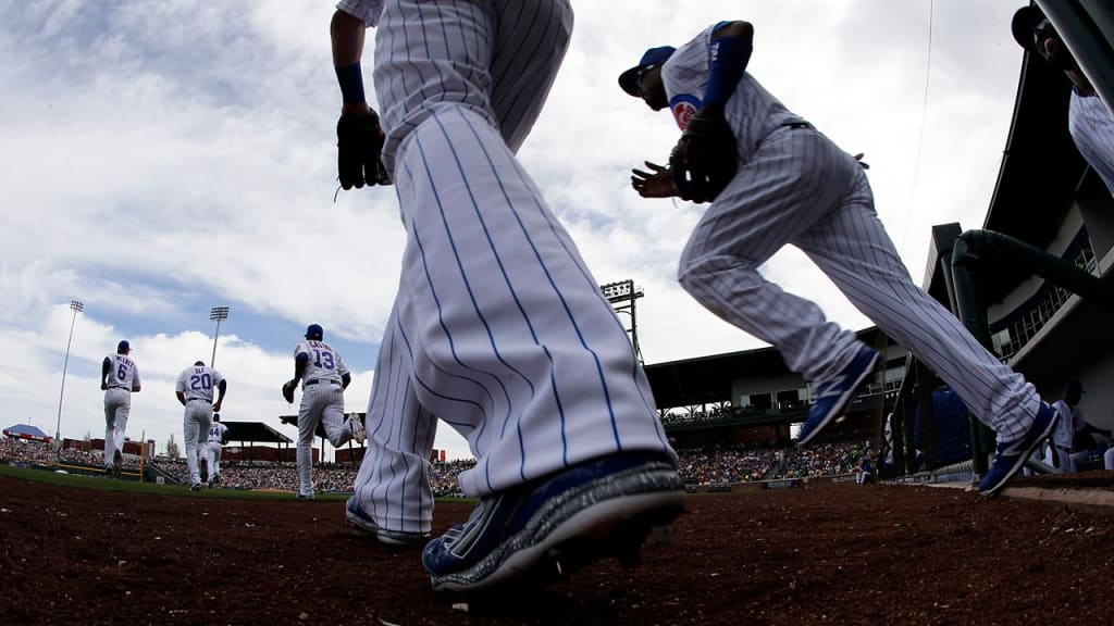 Chicago Cubs: 11-year-old fan goes to spring training