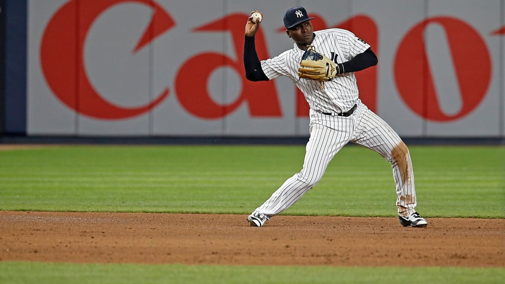 By the time Didi Gregorius arrived in New York, the young shortstop already had developed a strong sense of who he is as a player. "I'm all about controlling what I can control, playing the game the right way and always trying to get better," he said. (New York Yankees)
