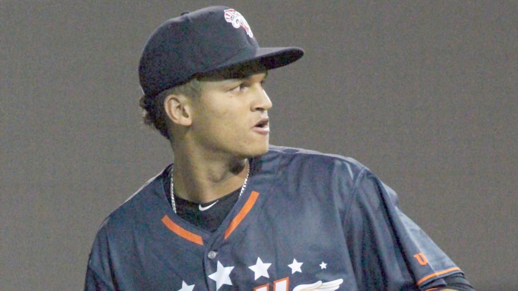 Right-hander Anyelo Gomez was the first of four players from the Yankees' system selected by another club in the Rule 5 Draft. (MiLB)