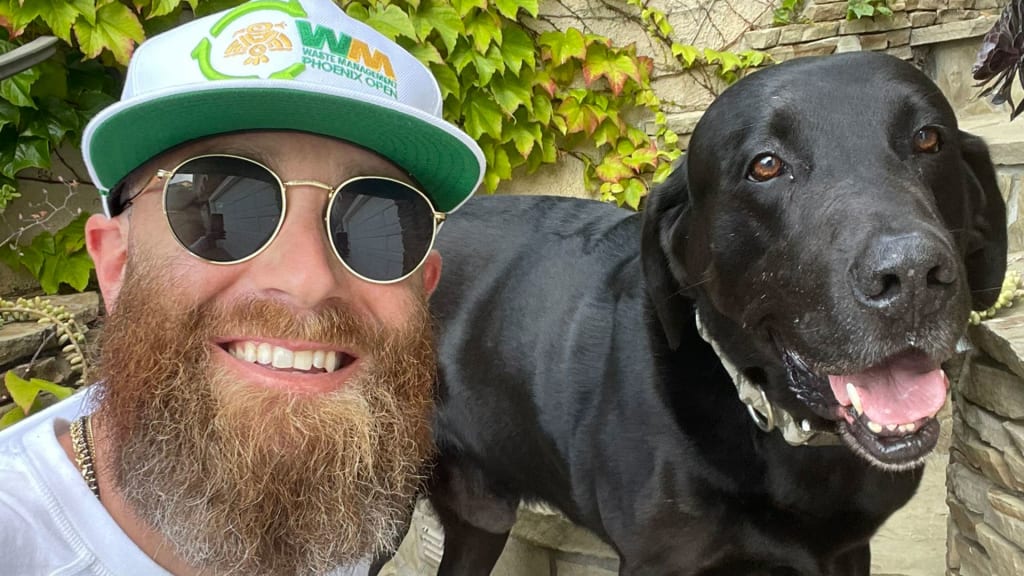 Mariners introduce new team rescue dog, instantly win over fans on social  media.