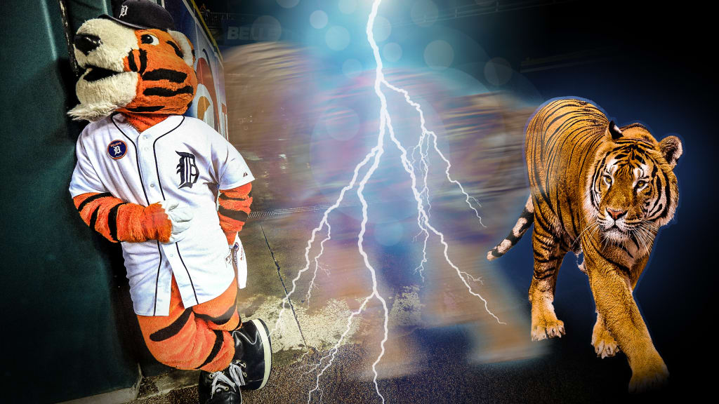 Baseball Svg Tiger Baseball Svg Tiger Tigers Baseball -  Australia