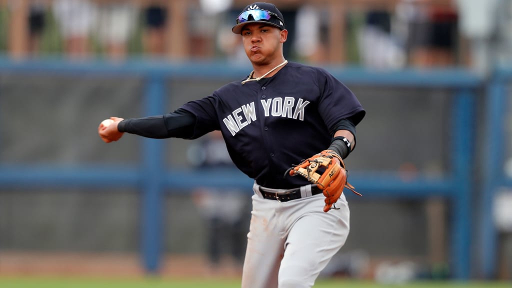 New York Yankees' DJ LeMahieu plans Troy youth baseball facility