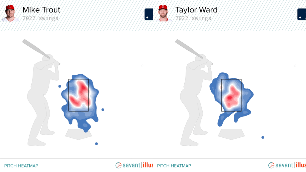 Taylor Ward MVP Odds: Ohtani, Trout Have Competition from Teammate