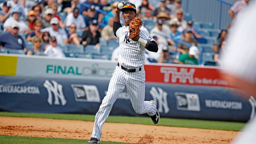 Twenty-year-old Yankees prospect Jorge Mateo received his first invitation to Big League training camp this spring. (New York Yankees)