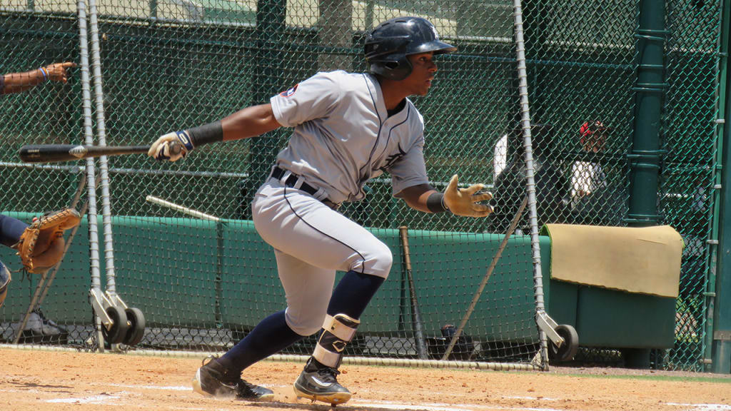 Outfielder Juan Ramirez hit .301 in the Gulf Coast League this season. (Bryan Green)