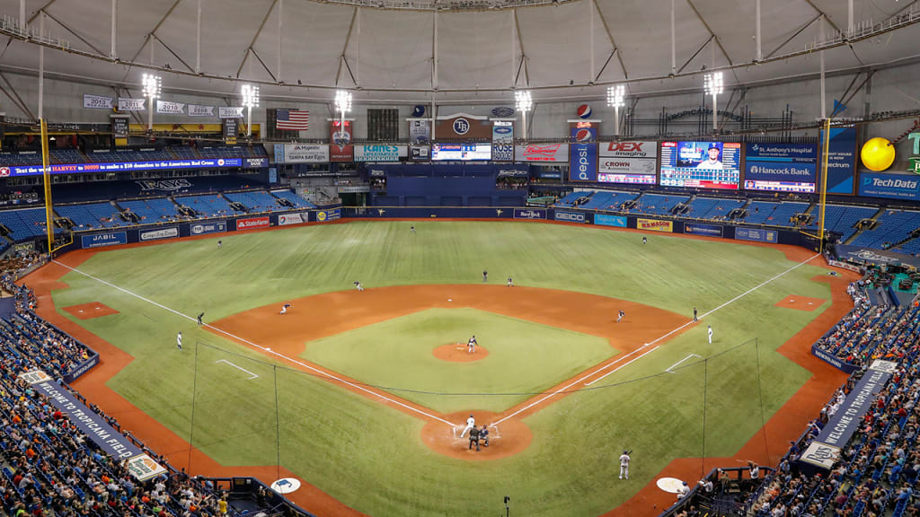 Tampa Bay Rays on X: A new look at Tropicana Field: the walls