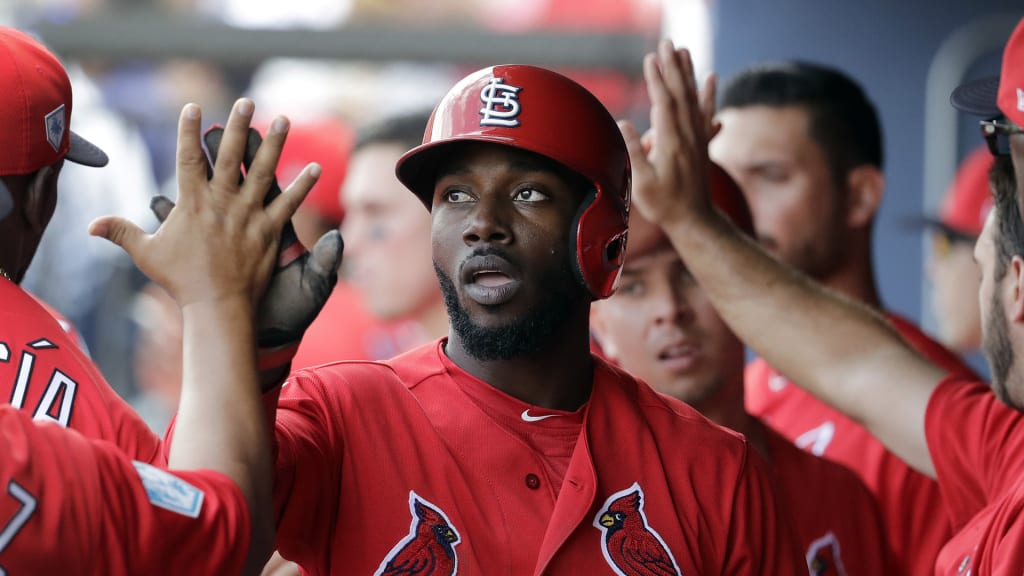 Cardinals promote prospect Randy Arozarena