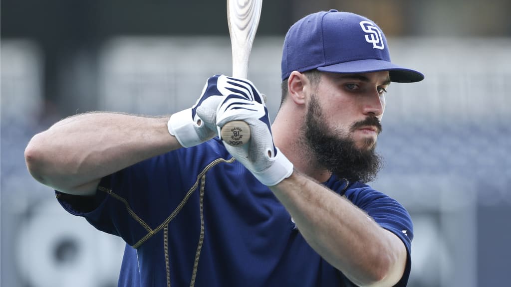 Austin Hedges accounted for five of the Padres' eight runs on Tuesday. (AP)