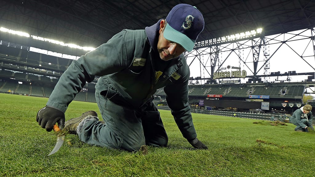 Jeff Fox, a worker with Country Green Turf Farms, which is based near Olympia, Wash., hand cuts a piece of turf as he installs one of the last sections of new bluegrass, Thursday, Nov. 9, 2017, along the outfield warning track at Safeco Field in Seattle, the home of the Seattle Mariners MLB baseball team. Thursday was the final day of work to replace all of the grass in the stadium, which is the first complete replacement of the turf and playing surface since the Mariners played their inaugural game in the facility in 1999. (AP Photo/Ted S. Warren)