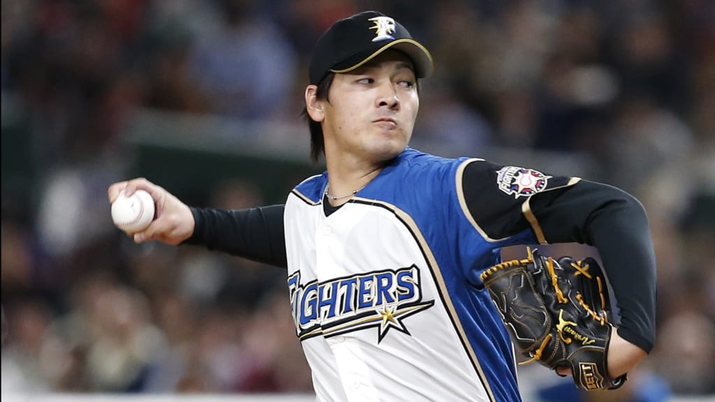 hokkaido nippon-ham fighters