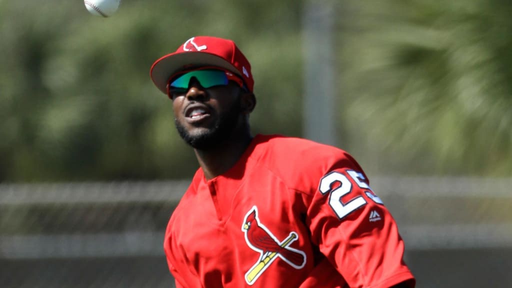 Dexter Fowler's wife, Darya, was born in Iran, and her family was affected by the controversial travel ban that was since blocked by the United States 9th Circuit Court of Appeals. (David J. Phillip/AP)