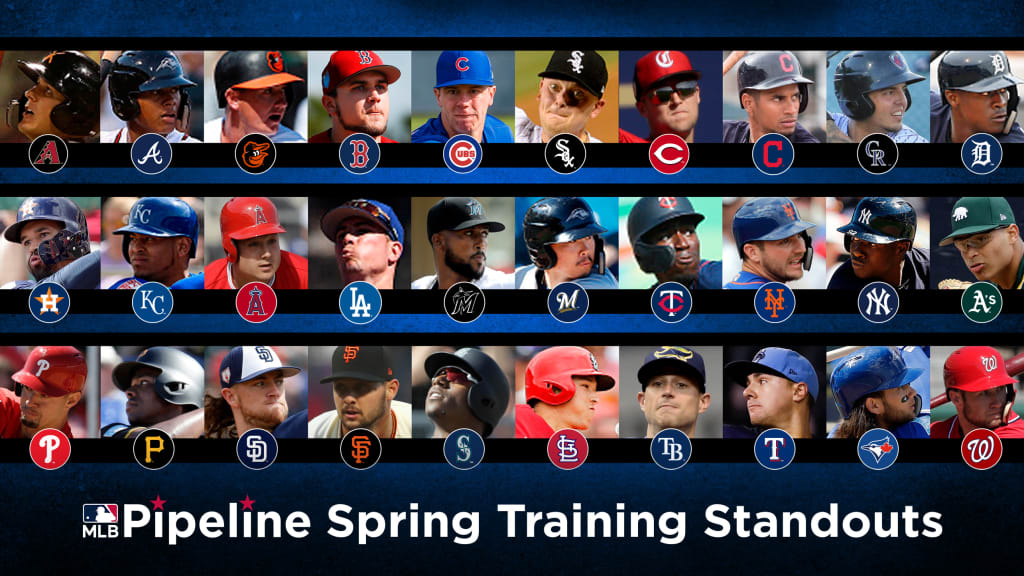 Top prospects at 2019 Spring Training