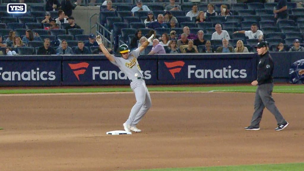 Gleyber Torres hit a walk-off homer and set off absolute bedlam at