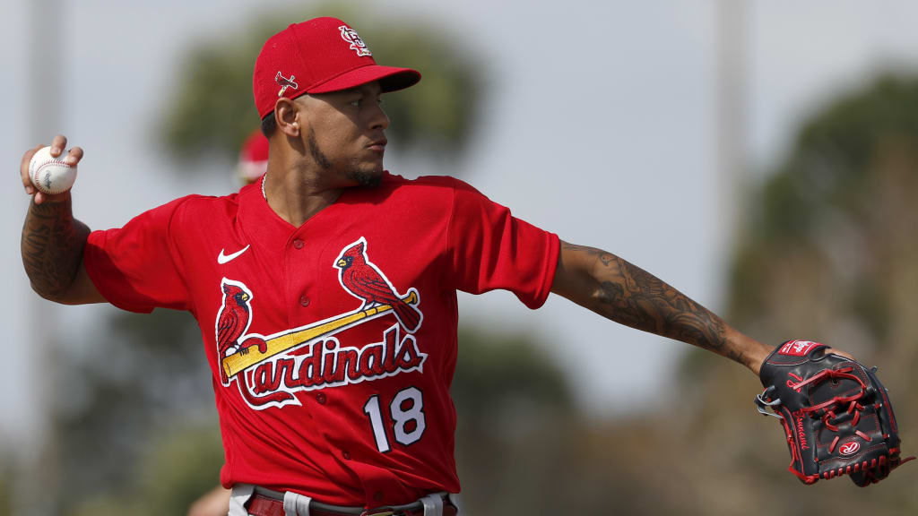 Carlos martinez cheap cardinals jersey