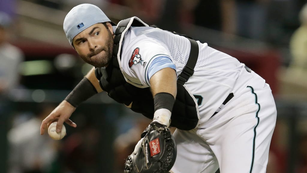 The D-backs activated catcher Alex Avila from the 10-day disabled list Saturday. (AP)