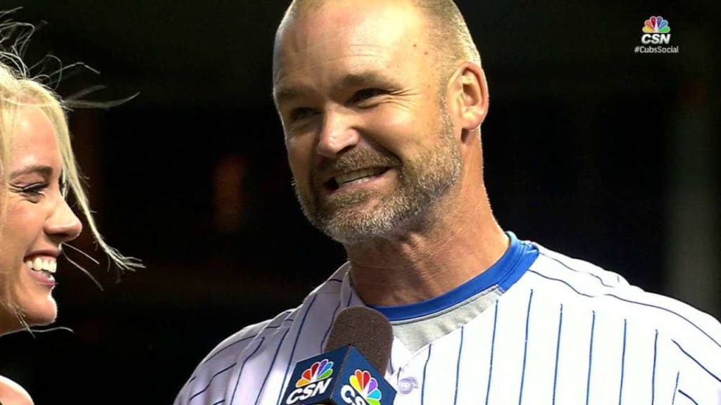 David Ross went out on top - Beyond the Box Score