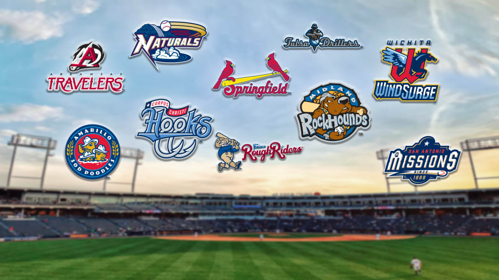 Minors Madness, the quest for the top team name in MiLB: The