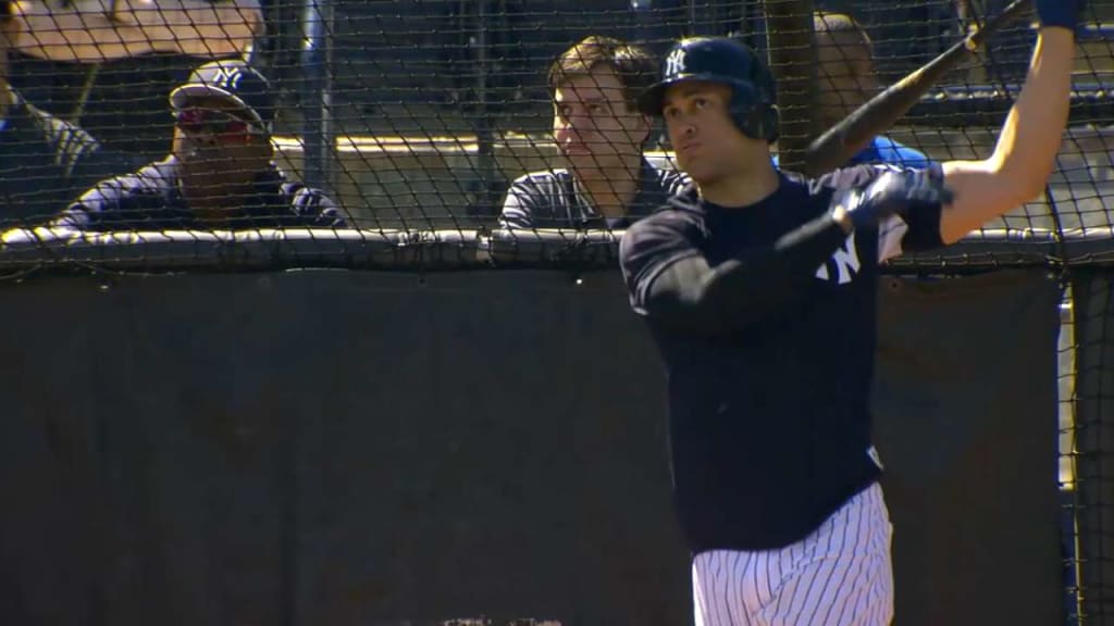 Yankees Batting Practice Gives Glimpse Of Stanton & Judge