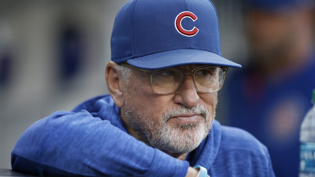 Cubs manager Joe Maddon wants an appearance when 'Curb Your Enthusiasm'  returns – New York Daily News