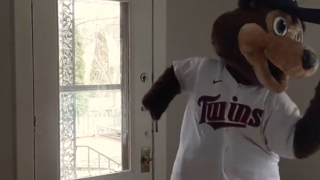 Star Tribune] Twins part ways with the human who portrays mascot T.C. Bear  : r/minnesotatwins