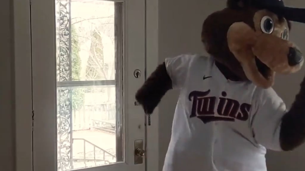 Minnesota Twins TC Bear the St. Paul Saints mascot, Mudonna!