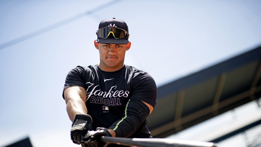 New York Yankees top prospect Jasson Dominguez hits first pro home