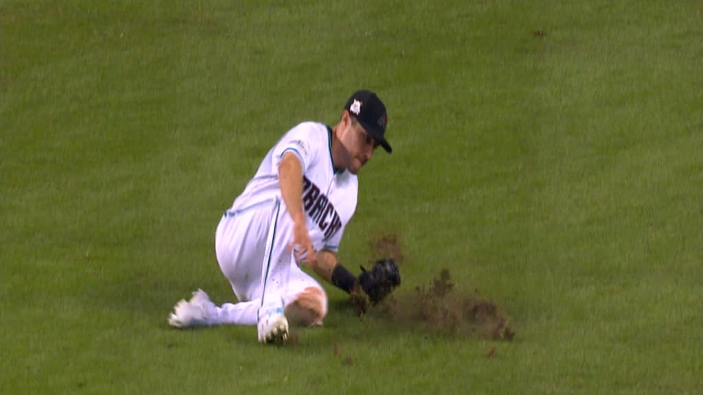 pollock_divot