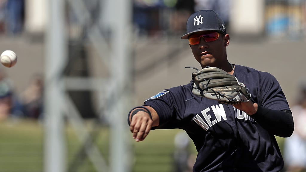 New York Yankees' Gleyber Torres thaws out a Detroit Tigers runner in a spring baseball exhibition game, Tuesday,March 6, 2018, in Lakeland, Fla. (AP Photo/John Raoux)