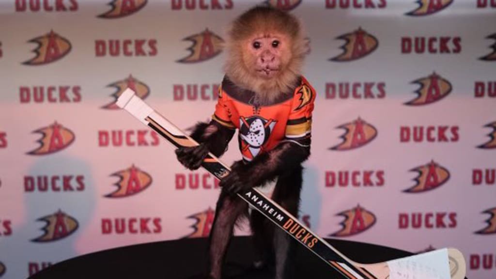 Rally Monkey drops puck before Ducks' game