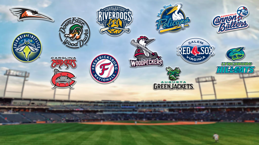 Group that has been busy buying minor league teams has its eye on