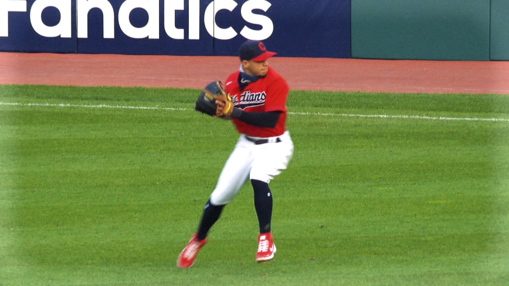 Cubs infielder Javier Baez sets sights on winning Gold Glove