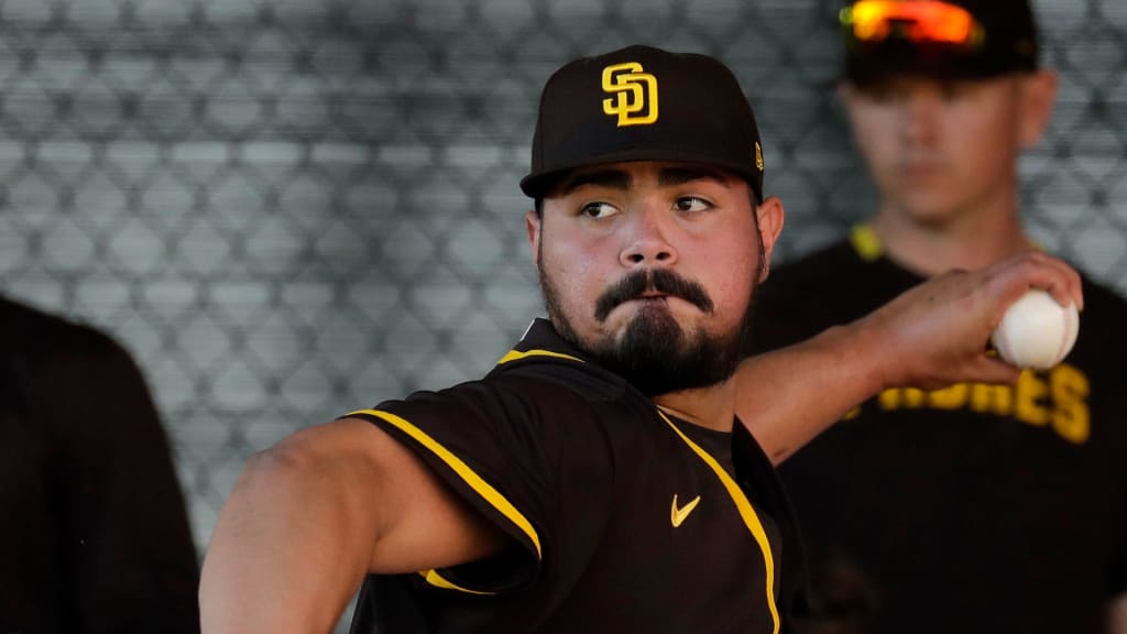 Padres roster review: Jose Castillo - The San Diego Union-Tribune