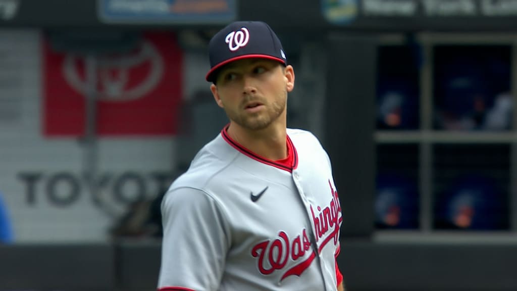 Ryan Zimmerman and Max Scherzer Lift Nationals Past Dodgers - The New York  Times