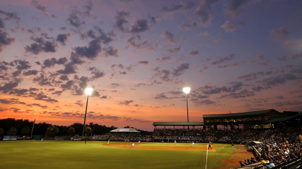More than 60 players suited up for the RiverDogs in 2016, but when Charleston's season was on the line, it was some of the longest-tenured 'Dogs who came through. (New York Yankees)