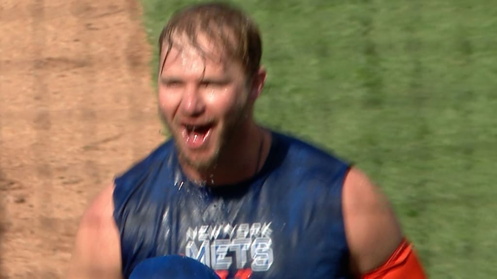 Pete Alonso's walk-off HR 